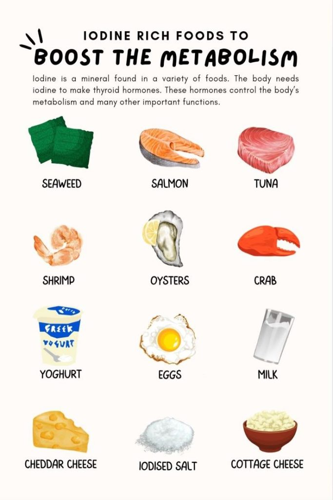 How 10 Gut Health Habits Control Your Metabolism and Fat Storage Naturally