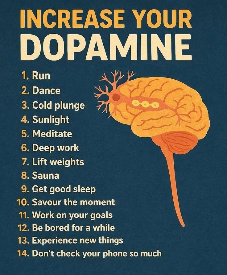 Dopamine Imbalances Gradually Reduce Focus and Motivation