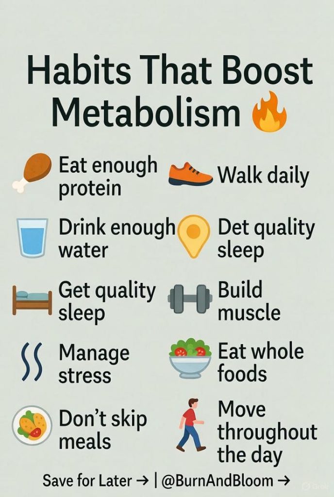 How 10 Gut Health Habits Control Your Metabolism and Fat Storage Naturally