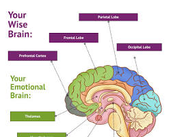 Transcranial Stimulation Concepts