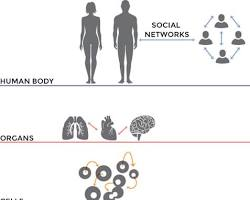 The Systems Biology Approach
