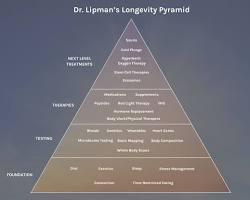 Clinical Longevity Protocols Used by Silicon Valley Health Optimization Culture