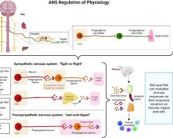 Cold Shock Proteins & Brain Recovery: What Science Actually Shows